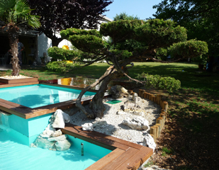 Aménagement de bassin, Charente & Charente-Matime : Green Garden Paysage (4/4)