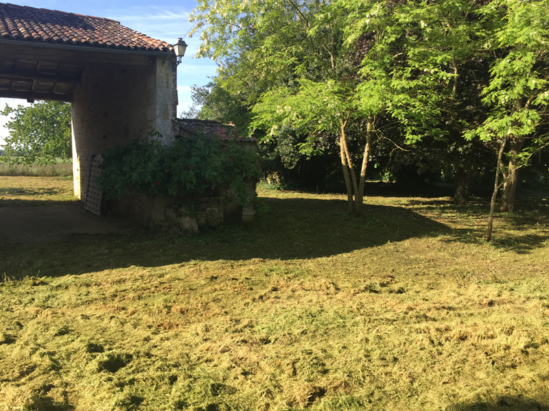 Entretien de jardins et parcs, Charente & Charente-Matime : Green Garden Paysage (3/3)