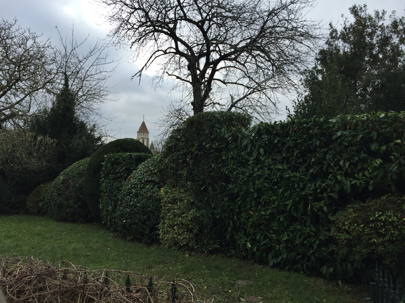 Taille de reformation annuelle d'un jardin près de Talmont-sur-Gironde, 17120